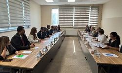 Van'da yerine kayyım atanan eşbaşkandan Avrupa heyetine eleştiri