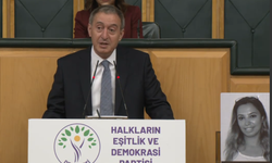 Bakırhan: İmralı'ya gitmek için başvuruda bulunacağız