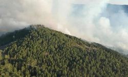 Ege'de orman yangınları devam ediyor