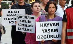 İzmir'de toplatılan sokak hayvanları sıcaktan öldü