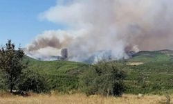 Uşak ve Afyon'da yangına müdahalesi sürüyor