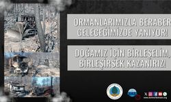 Ormanlarımızla birlikte geleceğimiz de yanıyor!