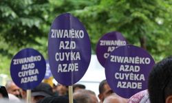 ‘Bila Kurdî bibe zimanê fermî, statuya wê were qebûlkirin’