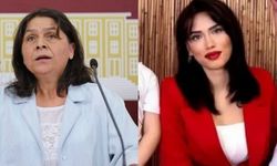Öğretmen Koparan'ın şüpheli ölümü Meclis'e taşındı