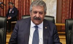 'Çerçeve metinler yasal ve idari metinlere yön verecek'