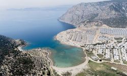 Faras Tisanaia için yeniden keşif yapıldı