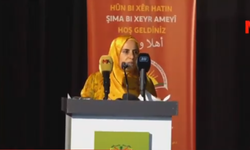 Amed'de Demokratik İslam Konferansı başladı