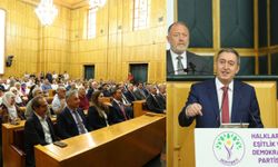 Bakırhan: Yasa hemen şimdi, barış hemen şimdi