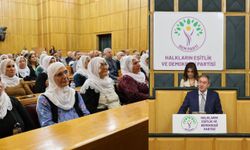 Bakırhan: Bu süreç sadece Kürtlerin sorunu değil