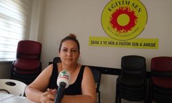 Zorlu: Emeğinden edilenler için Ankara'da buluşuyoruz