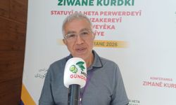 Zana Farqînî: Kürtçe için artık harekete geçme zamanı