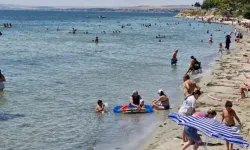 Deniz suyu sıcaklığı enfeksiyon riskini artırıyor