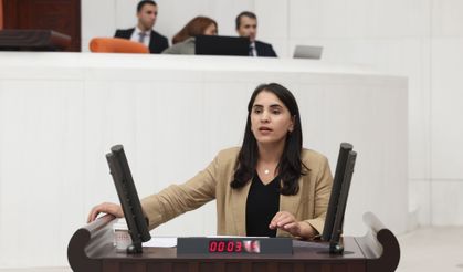 DEM'li Aslan'dan Adalet bakan'a soru önergesi