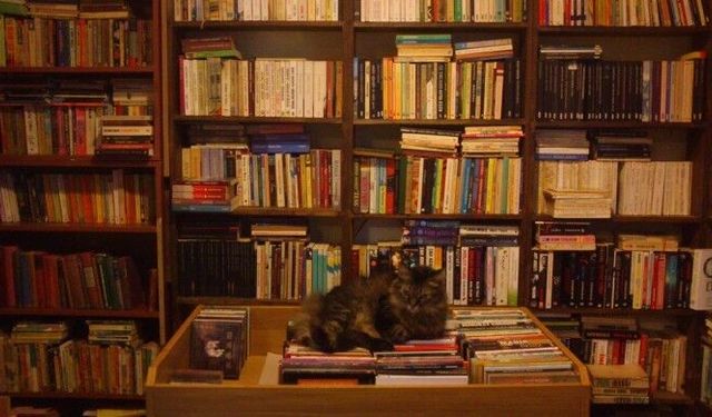 Artan kitap fiyatları sahaflığı bitiriyor