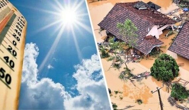 İklim krizi derinleşiyor: İnsanlar sıcaktan ölüyor