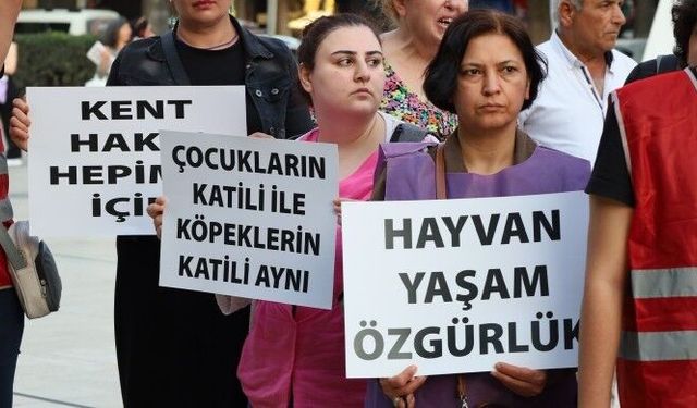 İzmir'de toplatılan sokak hayvanları sıcaktan öldü