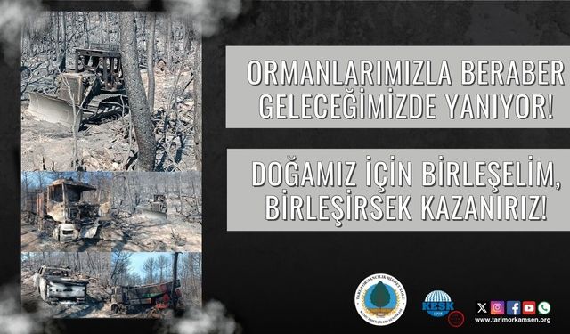 Ormanlarımızla birlikte geleceğimiz de yanıyor!
