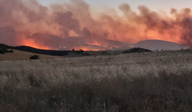 Lice-Hani-Kocaköy orman yangını devam ediyor