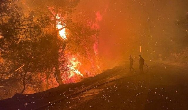 Antalya'nın Alanya ilçesinde orman yangını