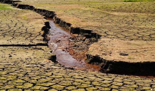 Aysu: Küresel ısınma durdurulmazsa su krizi çözülemez