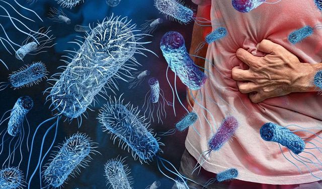 Uzmandan uyarı: Salmonella organları da etkiliyor
