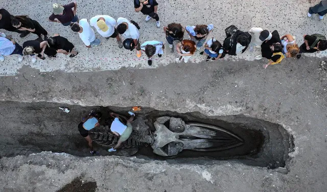 4 yıl önce gömüldü... İskeleti topraktan çıkarılıyor!