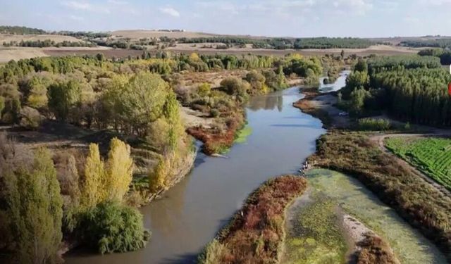 Dicle Nehri statüsüz bırakıldı, yaşam yok oluyor