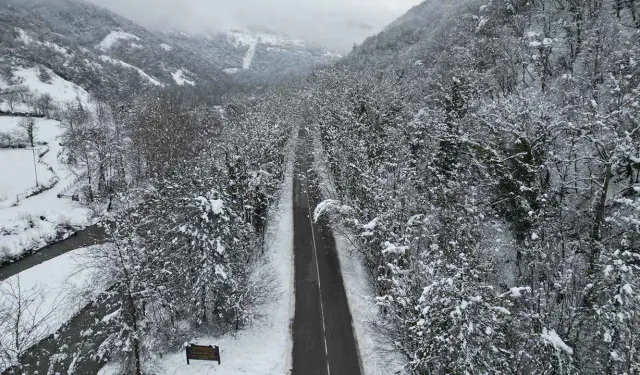Dünyadaki benzerlerini aratmıyor!
