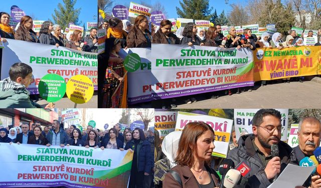 Li Amedê meşa 'Statuya Kurdî, perwerdehiya Kurdî'