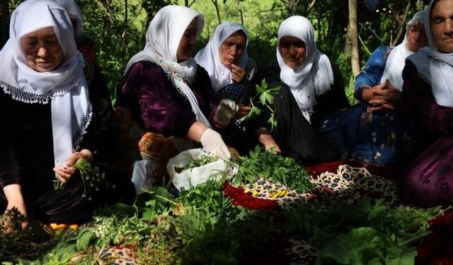 Gevaş ilçesine bağlı Kayalar köyünde şifalı otlar atölyesi