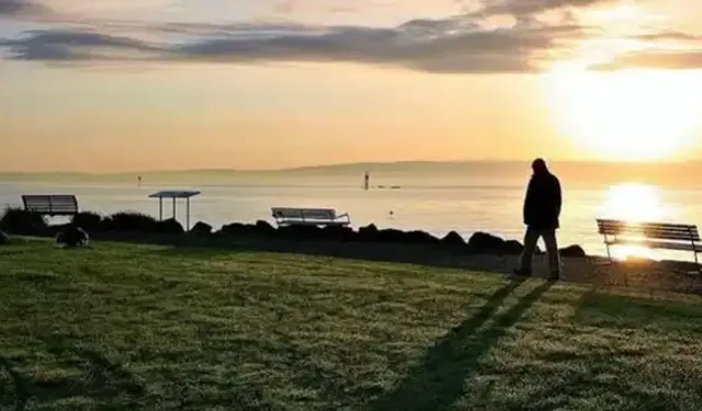 Tek kişilik haneler dünya genelinde hızla artıyor
