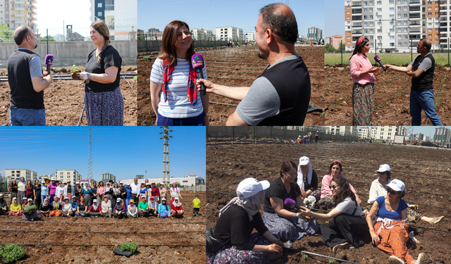 Yenişehir’de Kadınlar Fideleri Gelecek İçin Dikti