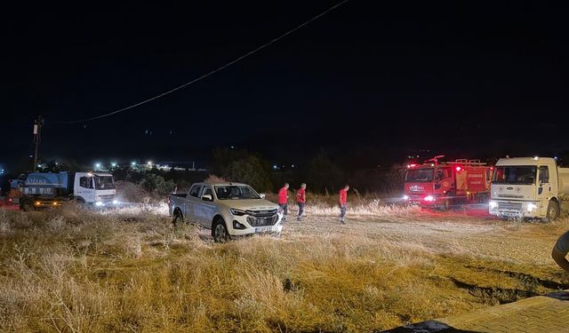 Lice’de Çıkan Yangın Kontrol Altına Alındı