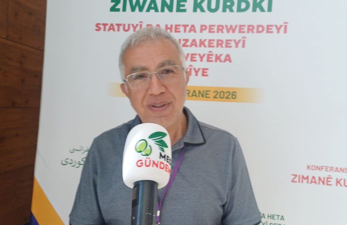 Zana Farqînî: Kürtçe için artık harekete geçme zamanı