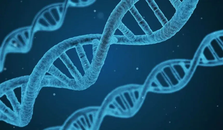Genetik mühendisliğinde devrim: Evrim 100 bin kat daha hızlı