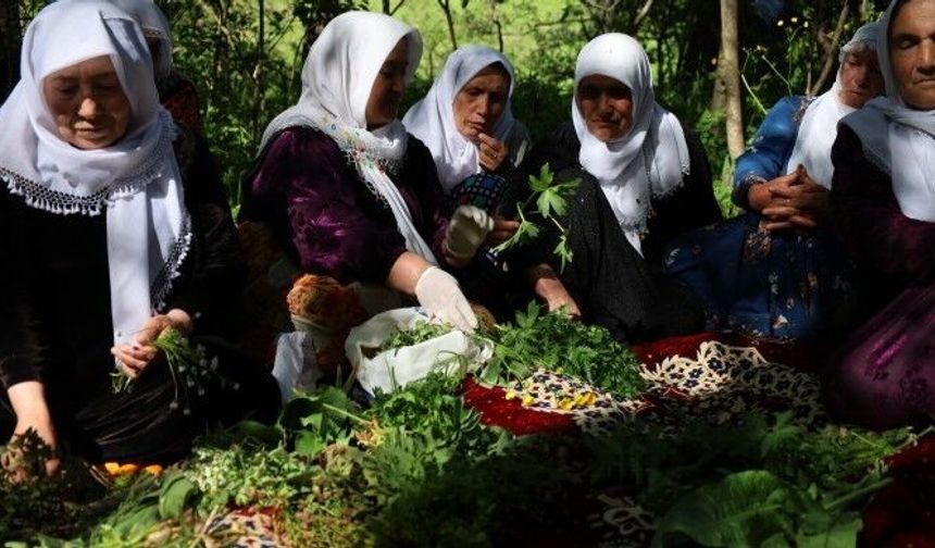 Gevaş ilçesine bağlı Kayalar köyünde şifalı otlar atölyesi