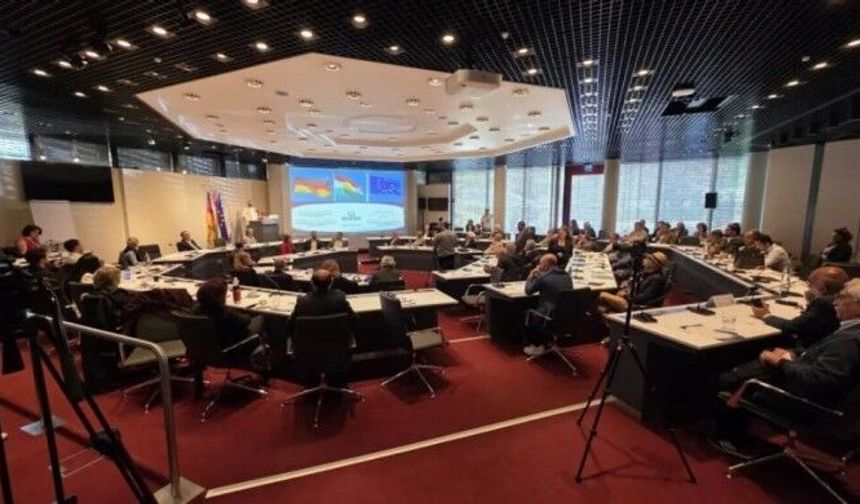 Kobanê Üniversitesi uluslararası akademi konferansında