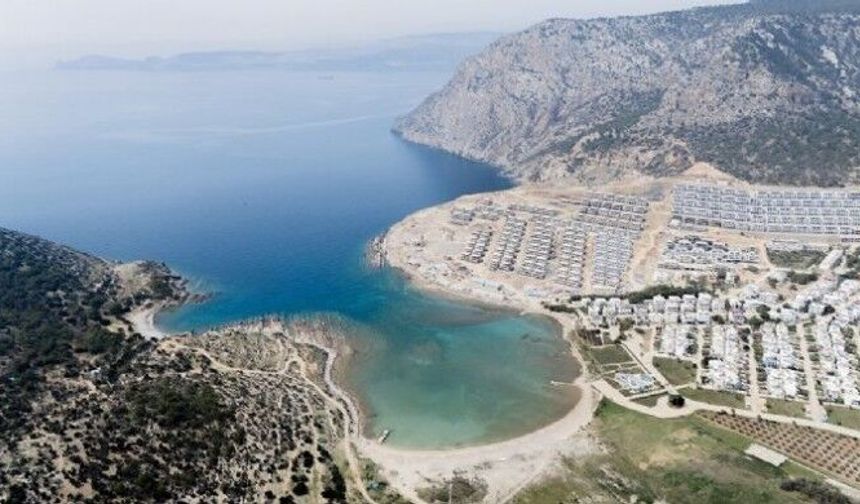 Faras Tisanaia için yeniden keşif yapıldı