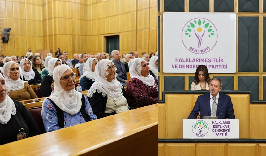 Bakırhan: Bu süreç sadece Kürtlerin sorunu değil