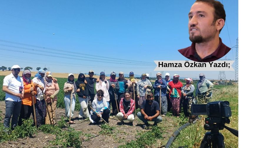 Toprağa bırakılan her tohum gibi kadın emeği de dayanışmayla büyür