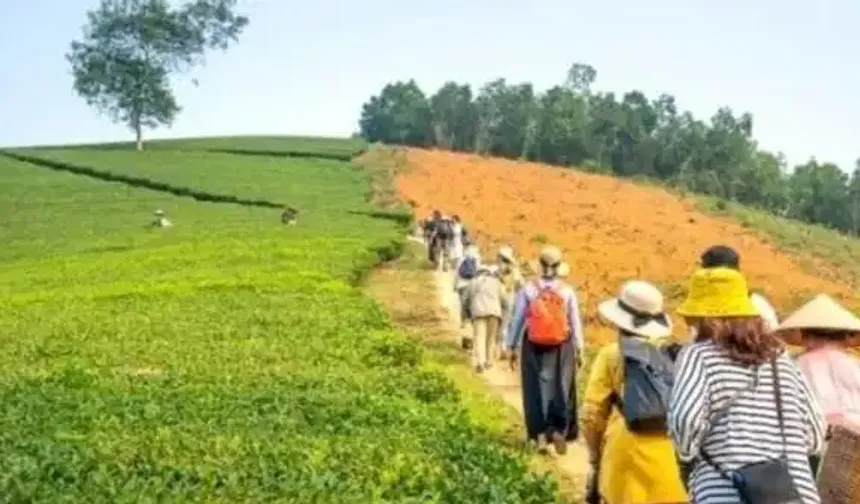 Tarladan sofraya eko-savunma: Agro-turizm
