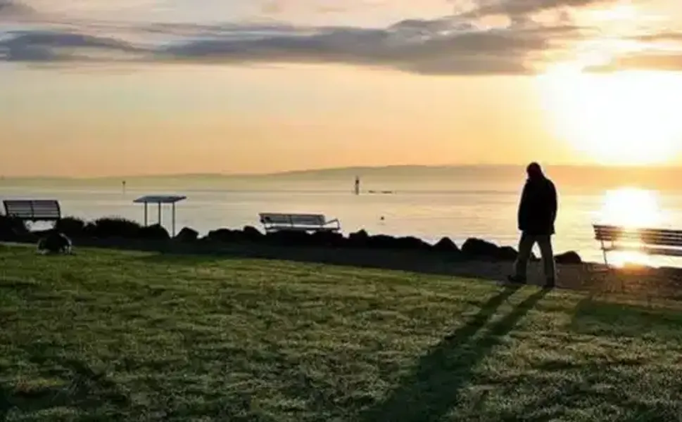 Tek kişilik haneler dünya genelinde hızla artıyor