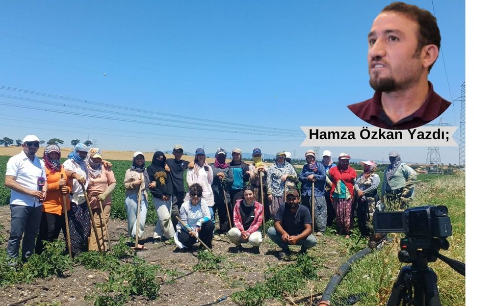Toprağa bırakılan her tohum gibi kadın emeği de dayanışmayla büyür