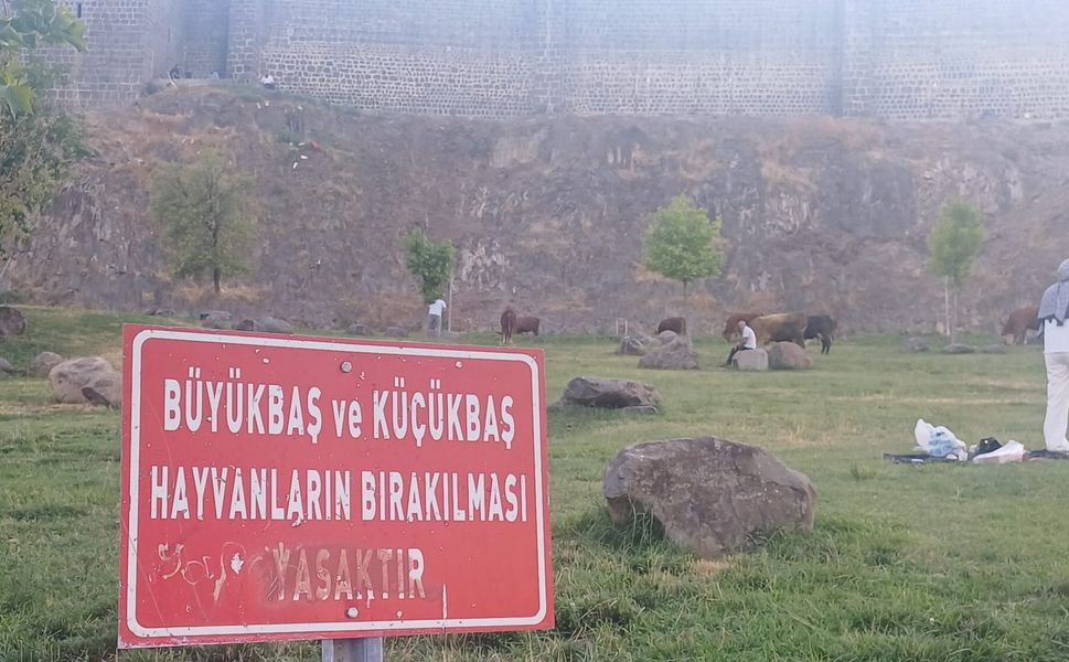 Tabela Yasak Diyor, Hayvanlar Okumuyor!