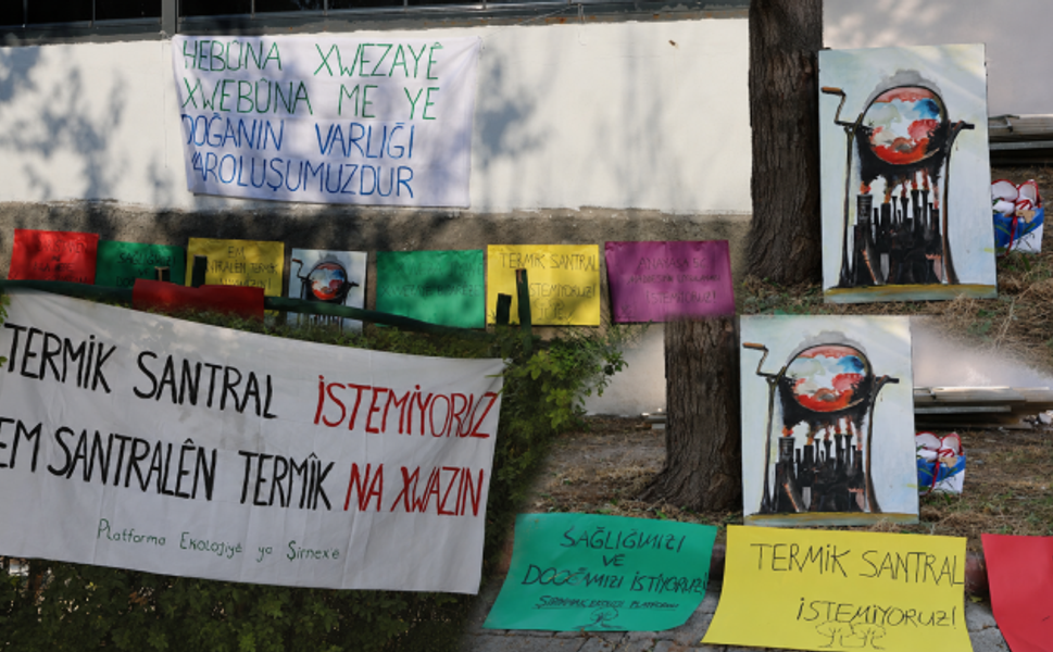 ‘Doğayla barış olmadan toplumsal barış olmaz’