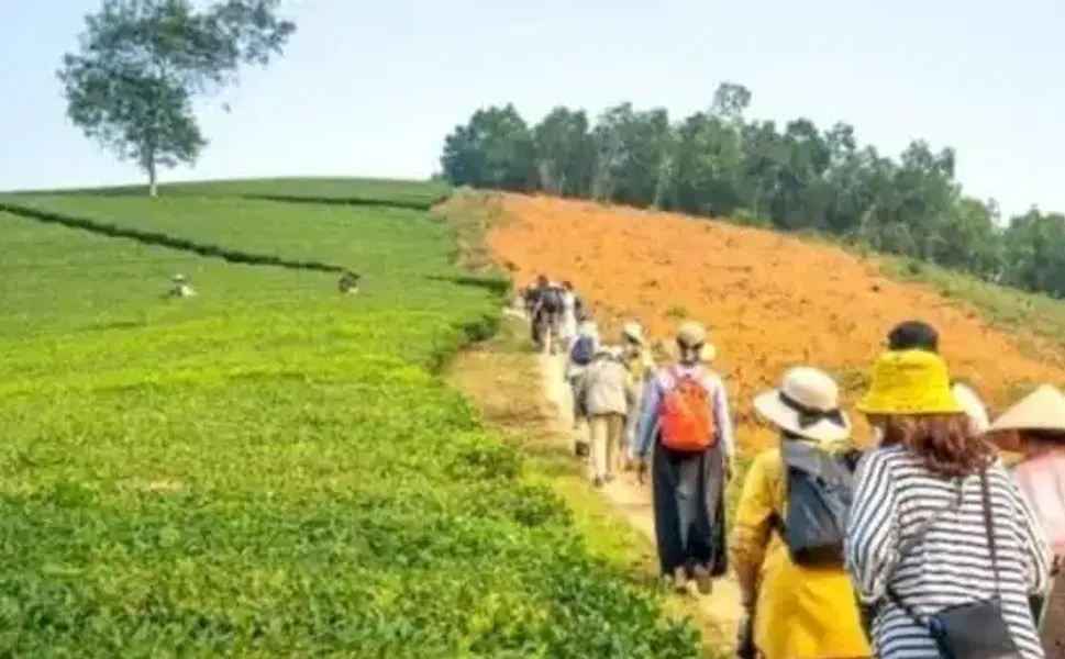Tarladan sofraya eko-savunma: Agro-turizm