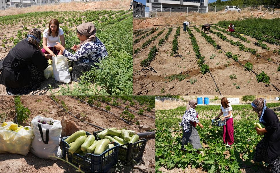 Kadın Emeğiyle Doğal Üretim Başladı