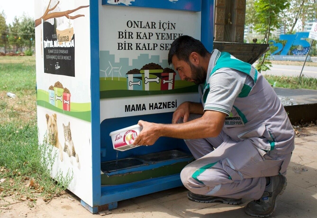 Kayapınar Belediyesi’nden Sokak Hayvanlarına Can Suyu