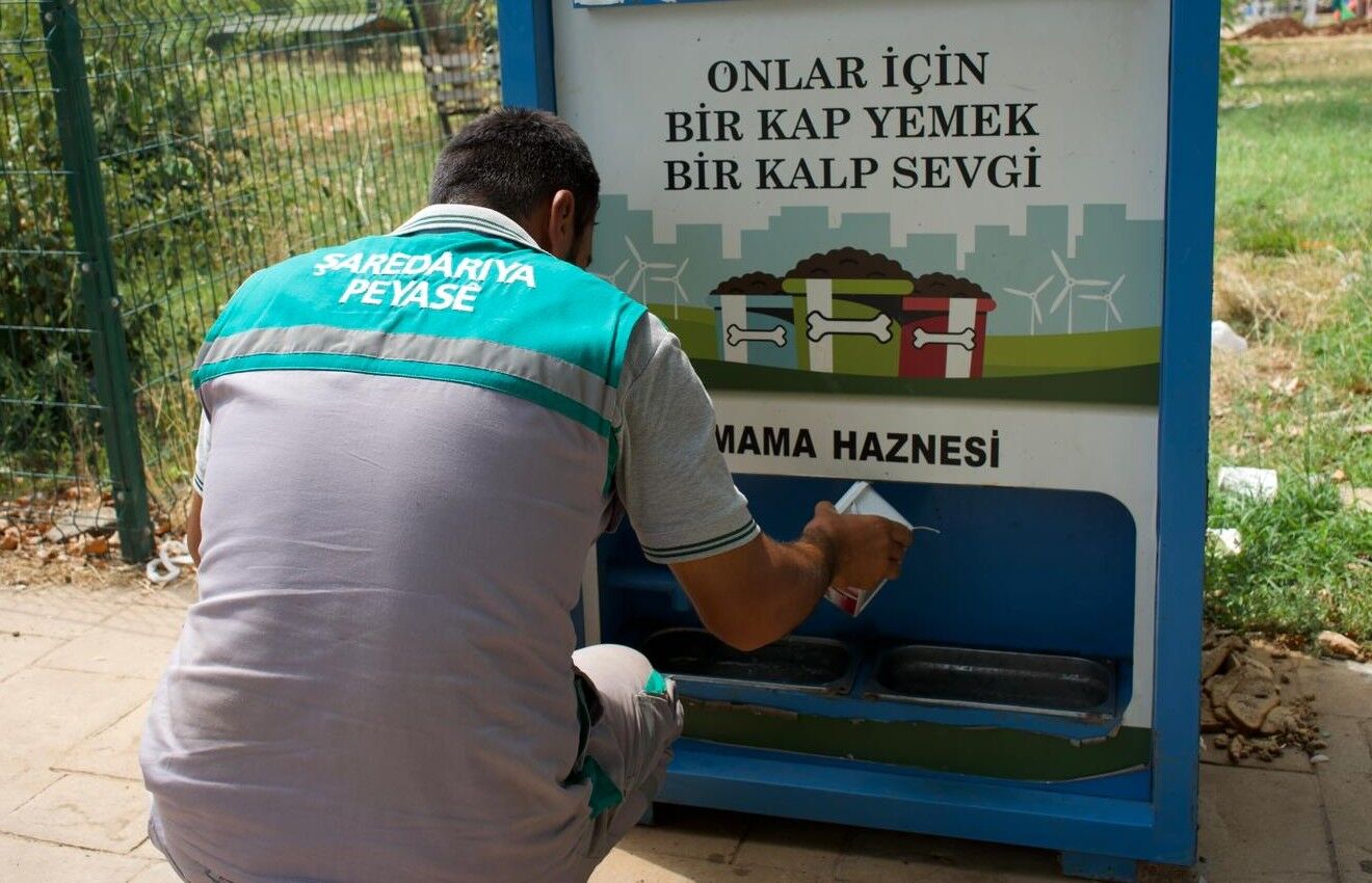 Kayapınar Belediyesi’nden Sokak Hayvanlarına Can Suyu